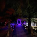 Billie Lourd Instagram - ❤️🤍💙#momanddad #takethelake #doinbruin Fish Tale Grill - Lake Bruin Lodge & Store