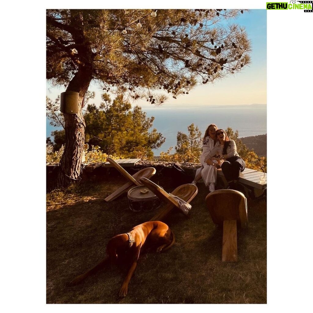 Birce Akalay Instagram - Autmn Journal’22 4 Marvelous Days. With friends, nature & stories. ••• All we need is love! ✌🏼🥂🦚🍁 @semsadenizsel @celimbahadir @mosheaelyon @ibrahimselim & my shewolf @dilarakarabay I’m so lucky to have you! 💚 And special thanks to all @simurginn & @cooksgrove Crew!! 🙏🏼🥂👏🏼