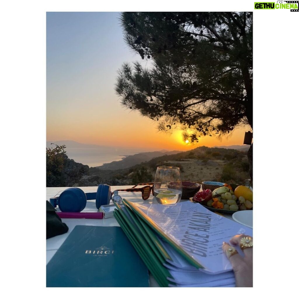 Birce Akalay Instagram - Autmn Journal’22 4 Marvelous Days. With friends, nature & stories. ••• All we need is love! ✌🏼🥂🦚🍁 @semsadenizsel @celimbahadir @mosheaelyon @ibrahimselim & my shewolf @dilarakarabay I’m so lucky to have you! 💚 And special thanks to all @simurginn & @cooksgrove Crew!! 🙏🏼🥂👏🏼