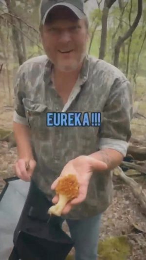 Blake Shelton Instagram - come morel mushroom hunting with us 🍄🍄