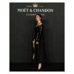 Blanca Suárez Instagram - what a n i g h t ☆ Thanks @moetchandon & @guerlain •Style @_freddyalonso [ @julianfashion X @alexandermcqueen @jimmychoo ] •MakeUp @natalia_natalita X @guerlain •Hair @mariaroberts25 •Pic @sergio_borondo #moeteffervescence #toastwithmoet