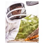 Blanca Suárez Instagram – Orgullosa de formar parte de la familia @Guerlain y compartir su compromiso de protección de las abejas.
Hoy es el Día Mundial de las Abejas. Muchos tesoros y recursos naturales dependen de las 🐝 🐝 🐝
Comprometerse con su protección significa esforzarse por transmitir las maravillas de la Naturaleza a las generaciones futuras, salvaguardando su futuro.
#GuerlainForBees  #WorldBeeDay