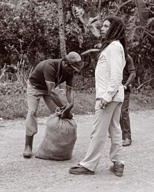Bob Marley Instagram - “Yes, me is a planter by heart! Me grow up in it, y’know? That’s the first thing me ever do—farming. Me grow up inna it, and is it me really love. “. #bobmarley  #St. Ann, Jamaica 🇯🇲

📷 @nevillegarrick  copyright 56 Hope Road music limited