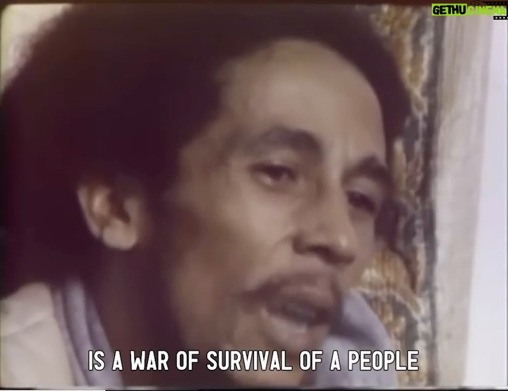 Bob Marley Instagram - “Is not just a war of Survival, is a war of Survival of a people.” #BobMarley 📹 interview in Toronto during the Survival Tour, Nov. 1979. Toronto, Ontario