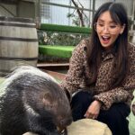 Brenda Song Instagram - We had such a life changing experience at @sdzsafaripark this past week. We also learned so much- I feel so inspired. Thank you to the incredible team at San Diego Zoo Wildlife Alliance for working tirelessly to raise awareness about environmental issues while protecting wildlife here in San Diego, and around the world. Thank you, thank you @sdzsafaripark for all that you guys are doing and for having us! #sdzsafaripark #wildlifeallies San Diego Zoo Safari Park