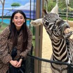 Brenda Song Instagram - Can you tell I’m a teeny tiny bit excited?!? Haha. We had the BEST time @SanDiegoZoo ! It was such an incredible experience and also so amazing to learn how their local conservation efforts are touching down worldwide. Thank you to entire team for all their hard work and being so wonderful! #sandiegozoo #wildlifeallies San Diego Zoo