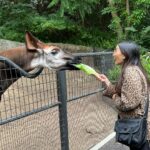 Brenda Song Instagram - Can you tell I’m a teeny tiny bit excited?!? Haha. We had the BEST time @SanDiegoZoo ! It was such an incredible experience and also so amazing to learn how their local conservation efforts are touching down worldwide. Thank you to entire team for all their hard work and being so wonderful! #sandiegozoo #wildlifeallies San Diego Zoo