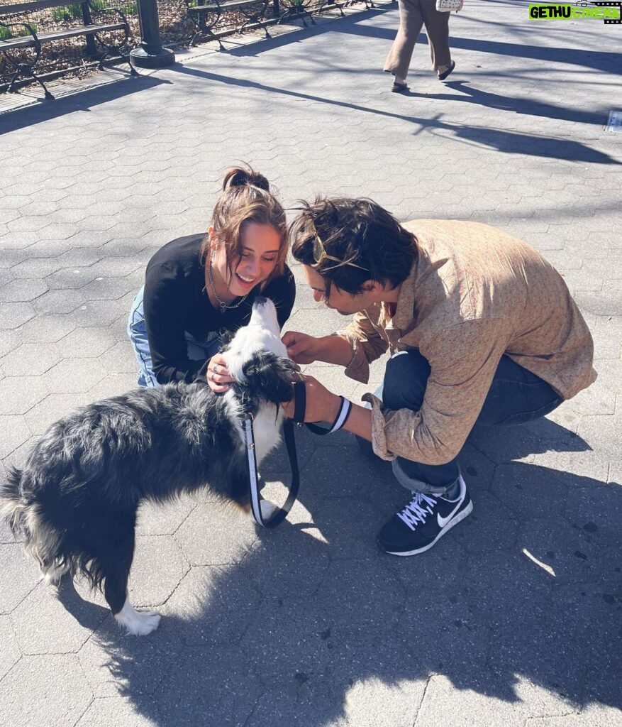 Brenna D'Amico Instagram - 🐶♥️ Washington Square Park