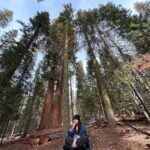 Brenna D'Amico Instagram - Go see the Sequoias…immediately✨ Sequoia National Park, California