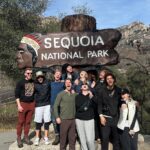 Brenna D'Amico Instagram - Go see the Sequoias…immediately✨ Sequoia National Park, California