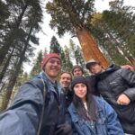 Brenna D'Amico Instagram - Go see the Sequoias…immediately✨ Sequoia National Park, California