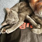 Brian Quinn Instagram - Resistance is futile.