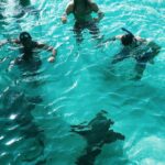 Brock O'Hurn Instagram - Swimming with sharks! Don't worry.. Bahamas 🙌🏾