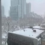 Bryce Dallas Howard Instagram - Views from beautiful, magical Toronto — it’s beginning to feel a lot like the holiday season ❤️ ⁣ ⁣ [ID: Wearing a navy-blue blouse and her hair in curly waves, BDH takes a selfie by a window in her Toronto hotel room. Outside the window, the next morning, is a light dusting of snow across roof tops and trees.]