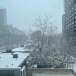 Bryce Dallas Howard Instagram - Views from beautiful, magical Toronto — it’s beginning to feel a lot like the holiday season ❤️ ⁣ ⁣ [ID: Wearing a navy-blue blouse and her hair in curly waves, BDH takes a selfie by a window in her Toronto hotel room. Outside the window, the next morning, is a light dusting of snow across roof tops and trees.]