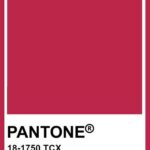 Bryce Dallas Howard Instagram - BDH meets @pantone color of the year: Viva Magenta! ⁣ ⁣ [ID: BDH wears a Viva Magenta dress with lipstick in a matching color for “Gold” movie press photos.]