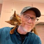 Bryce Dallas Howard Instagram - Cats asserting dominance over the Howards 🐱⁣ ⁣ [ID: Ginger cats Lily & Bruno ascend to their throne on the backs of BDH and Ron Howard]