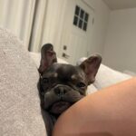 Brynn Rumfallo Instagram - fyi