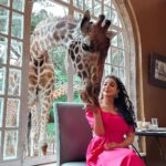 Buthaina Al Raisi Instagram – A day i will never forget 🦋🦋🦋
.
اليوم وصلنا ( giraffe manor ) 
.
هالمكان الحالم كان في لستته امنياتي اني ازوره الحجز فيه صعب الويتنج لست فيه يوصل سنه ونص .. استانست لما قالولي انتي اول وحده تزورينا من سلطنة عمان .. الي يحب التجارب الجديده بعيد عن صخب المدن هالمكان الهدوء والجمال فيه مو طبيعي موجود في عاصمه كينيا نيروبي .. المهم قولولي لو كنتوا مكاني بتخافون ؟؟ انا عن نفسي اعشق الحيوانات 🦋🦋🦋
.
#كينيا #giraffe #giraffemanor #discover #world #explore #reels #instagram Giraffe Manor