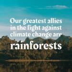 Calum Worthy Instagram - Happy World Rainforest Day! Today I am celebrating the importance of healthy, standing rainforests for climate, biodiversity, culture, and livelihoods. I am so proud to be a part of the @RainforestPartnership. If you care about rainforests and climate change follow this incredible organization. If you want to join this global movement, put on a green t-shirt, post a picture of you wearing it and show the world that you care about rainforest preservation. We will be sharing photos on our socials.