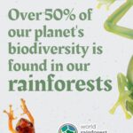 Calum Worthy Instagram – Happy World Rainforest Day! Today I am celebrating the importance of healthy, standing rainforests for climate, biodiversity, culture, and livelihoods. I am so proud to be a part of the @RainforestPartnership. If you care about rainforests and climate change follow this incredible organization.

If you want to join this global movement, put on a green t-shirt, post a picture of you wearing it and show the world that you care about rainforest preservation. We will be sharing photos on our socials.