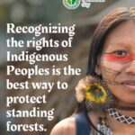 Calum Worthy Instagram - Happy World Rainforest Day! Today I am celebrating the importance of healthy, standing rainforests for climate, biodiversity, culture, and livelihoods. I am so proud to be a part of the @RainforestPartnership. If you care about rainforests and climate change follow this incredible organization. If you want to join this global movement, put on a green t-shirt, post a picture of you wearing it and show the world that you care about rainforest preservation. We will be sharing photos on our socials.
