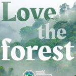 Calum Worthy Instagram - Happy World Rainforest Day! Today I am celebrating the importance of healthy, standing rainforests for climate, biodiversity, culture, and livelihoods. I am so proud to be a part of the @RainforestPartnership. If you care about rainforests and climate change follow this incredible organization. If you want to join this global movement, put on a green t-shirt, post a picture of you wearing it and show the world that you care about rainforest preservation. We will be sharing photos on our socials.