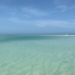 Camila Sodi Instagram - Sisal 🌎❤️ @experiencia_sisal 🌎 Playas desiertas paradisíacas, agua color turquesa , flamingos 🦩, manta rayas, picnic 🧺, ojo de agua dulce , manglares … EL PARAÍSO 🌈☀️🌴🍹 @yucatanturismo Sisal, Yucatan
