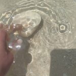 Camila Sodi Instagram - Sisal 🌎❤️ @experiencia_sisal 🌎 Playas desiertas paradisíacas, agua color turquesa , flamingos 🦩, manta rayas, picnic 🧺, ojo de agua dulce , manglares … EL PARAÍSO 🌈☀️🌴🍹 @yucatanturismo Sisal, Yucatan