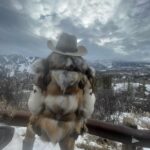 Camila Sodi Instagram - Home 🤍❄️ #fauxfur 🤌🏼 Aspen, Colorado