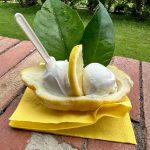 Candace Cameron-Bure Instagram - June photo drop 🇮🇹 🍋