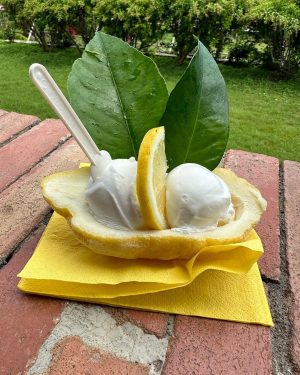Candace Cameron Bure Instagram - June photo drop 🇮🇹 🍋