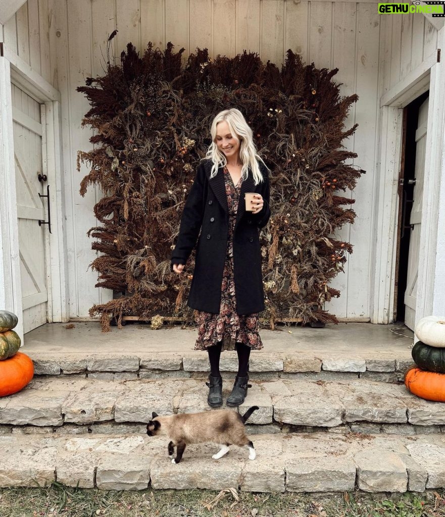 Candice King Instagram - T.G.I.F (thank god it’s fall) ☕️ 🌙 Bloomsbury Farm