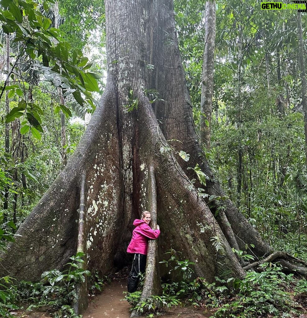 Carmen Aub Instagram - 10 fotos no bastan para transmitir ni un 10% de la experiencia que @rainforestexpeditions nos regaló! El Tambopata Research Center (TRC), es algo que nunca me pude imaginar. Algo que me encantó, fue conocer la selva con guías locales y convivir cada noche con científicos y biólogos que te contagian esa pasión por lo que hacen. No es lo mismo aprender sólo por lo que te cuentan, a vivirlo caminando por la selva cuando sales a la aventura y lo ves! Ser temporada de lluvia solamente agregó magia a la experiencia (no saben cómo me gusta caminar en lodo) y una vez de vuelta en el albergue, no hay nada más rico que ver y escuchar la selva mientras te tomas algo. No sé si alguna vez podré vivir algo así nuevamente, sin duda lo llevaré en mi corazón por siempre, y mientras tanto desde casa podré seguir voluntariando por medio de su programa @wiredamazon (entren al link de su bio, está súper!). Gracias a todo el staff que nos atendió durante estos días, y gracias especiales a nuestro guía, Lucho @luisalbertochipaloayza por enseñarnos los secretos de la Amazonía. #Peru #Travel #Amazonia #viajando Tambopata Research Center.