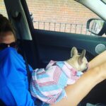 Caroline Flack Instagram - We got you when you were so small. And we carried you all the way home in a blanket. When I took you for your first walk it was like walking a slug.....you will forever think that ANY rug is a pee pad... and you run at all children in the street because you think they are your mates because they are the same size as you. You stare at me when I’m in the bath and bark at me until I finsh my dinner... you will follow me around like my shadow and you HATE anyone washing you , ..you do more poos than anyone or anything and you snore louder than a giant ... . but ... you kiss my face if I cry and you sit by my side if someone is horrible to me.... ...you’re not like other dogs and I’m not just saying that because you are mine... other dogs don’t kiss EVERYONE they meet.. you do....happy 1st birthday Ruby xx