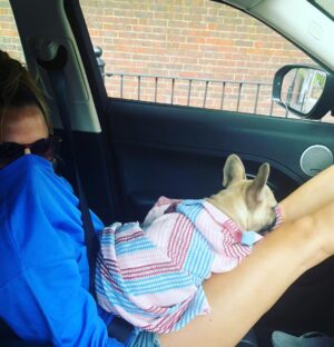 Caroline Flack Instagram - We got you when you were so small. And we carried you all the way home in a blanket. When I took you for your first walk it was like walking a slug.....you will forever think that ANY rug is a pee pad... and you run at all children in the street because you think they are your mates because they are the same size as you. You stare at me when I’m in the bath and bark at me until I finsh my dinner... you will follow me around like my shadow and you HATE anyone washing you , ..you do more poos than anyone or anything and you snore louder than a giant ... . but ... you kiss my face if I cry and you sit by my side if someone is horrible to me.... ...you’re not like other dogs and I’m not just saying that because you are mine... other dogs don’t kiss EVERYONE they meet.. you do....happy 1st birthday Ruby xx