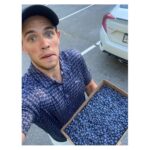 Casey Cott Instagram - Blueberries
