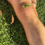 Casey Frey Instagram - I’m partnering with @dollarshaveclub as part of their #MenGetReal campaign. Dollar Shave Club’s got all your grooming needs covered, now at a store near you. #ad #dollarshaveclub. Tarantula, twiggums, chicken leg, skinny dumbass. These are just some of the names I’ve been called throughout the years. All made me who I am....daddy. I broke both my legs when I was a kid. Had to relearn to walk and they still figured out a way to moonwalk there way into making a living. So in short I’m able to buy a big ass TV and pay for a roof over my head because of these scrawny little fuckers. Mark my words. Before I die, skinny hairy legs will be as revered as having a phat ass in today’s culture!