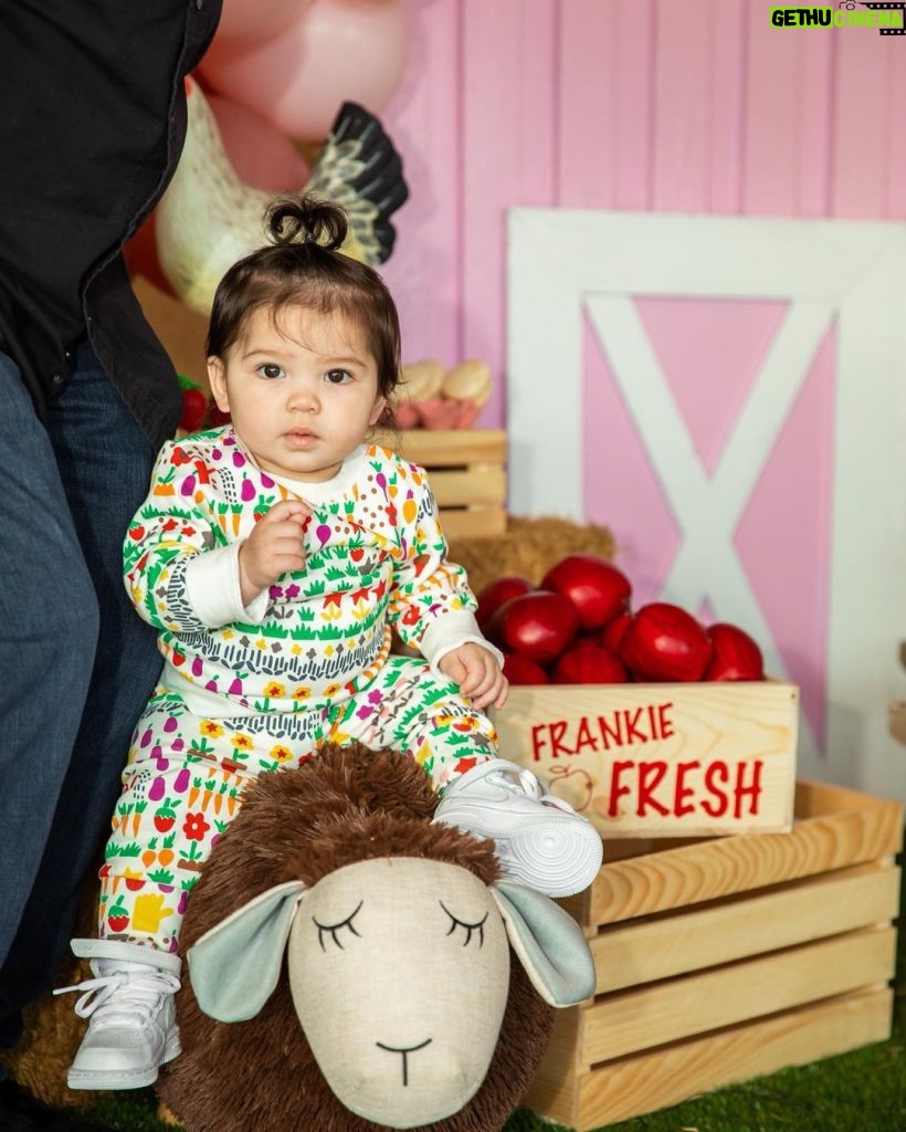 Cassie Ventura Instagram - It’s been a busy week, but it’s been so much fun! We celebrated Frankie’s 2nd Birthday :: Frankie’s Farm! Apple trees, baby alpacas, bunnies, baby pigs, chickens, pony rides, a ball pit, pizza and sweets! It was a dream, every detail was perfect. Thank you to all of our family and friends that were able to come celebrate with us, we missed you @pamfine ♥️ Thank you @bigandtinyspace for hosting us and last but never least a special thank you to @melissaandre and the entire amazing @madco_team for making our farm dreams come true 🥰 We loved every minute! 💕☁️🎈🐷🐐🐰🐴🐓🐔🍎🌾👩🏻‍🌾 check my stories for more pics ☺️