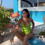 Catherine Fulop Instagram - Flamingo Beach🦩 día perfecto! @renaruba @arubabonbini #onehappyisland #travel #aruba #flamingobeach #onehappyislandaruba Renaissance Private Island, Aruba