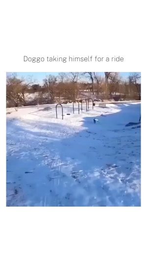 Catherine Zeta-Jones Instagram - Sometimes, you just have to take yourself on a ride.  I love a good snow day 🥰