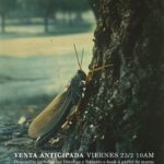 Celeste Cid Instagram - Escribí la mayor parte de este libro a mis 25 años, en el año 2009. Nunca imaginé publicarlo. Corte a: el Tiempo -una vez más haciendo lo suyo- Un lbro que es mio, pero es de muchxs, pues: el amor, los vínculos, los legados, los apegos, las fobias, los estar en el mundo, y de nuevo: el amor, porque de eso se trata todo al fin. Acaba de habilitarse la pre-venta en este instante. Dejo link en Bio. Gracias por acompañarme 🦋 —————— Imágenes @elefantediamante / porque si fuese una peli iría por ahí graphics @luiginstag @alegriaba y la tipo de la Male @malenagagliesi Gracias @planetadelibrosar @anaojota @guiraldesmercedes @ignacio.iraola @clintbuarque 🤍