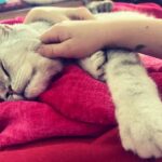 Ceyda Düvenci Instagram - MUTLUYUM, MUTLUSUN, MUTLU… #eros