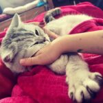 Ceyda Düvenci Instagram - MUTLUYUM, MUTLUSUN, MUTLU… #eros
