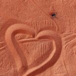 Ceyda Kasabalı Instagram - blogergül ile diyar diyar wadi rum 😂 Çölde bedeviler gibi yasama deneyimimizden hello herkese merhaba napiyosunuzahxha.cok uzun anlatmiyorum bu sefer videoya kalsın 😂 sabahtan develerle çıktık,gece birlikte çölde magarada kaldık internet telefon yok.size de aralardan bi kac ön gösterim yapayim dedim.begendiyseniz b ye basın shdh öperim canlar