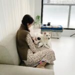 Chae Soo-bin Instagram - 아이들과의 소중하고 행복했던 스냅촬영📸 수빈둥빈둥으로 보러 오세요🐾 ⠀ ✔️ link in bio
