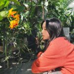 Chae Soo-bin Instagram -