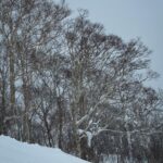 Chalida Vijitvongtong Instagram - พายุเข้าก็ต้องเล่น ❄️☃️ Niseko 翠華 at Grand Hirafu