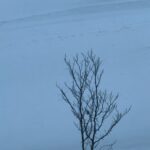 Chalida Vijitvongtong Instagram - พายุเข้าก็ต้องเล่น ❄️☃️ Niseko 翠華 at Grand Hirafu
