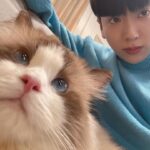 Chanon Santinatornkul Instagram - มองไรอ่ะ 😺? What meow lookin at 😸?